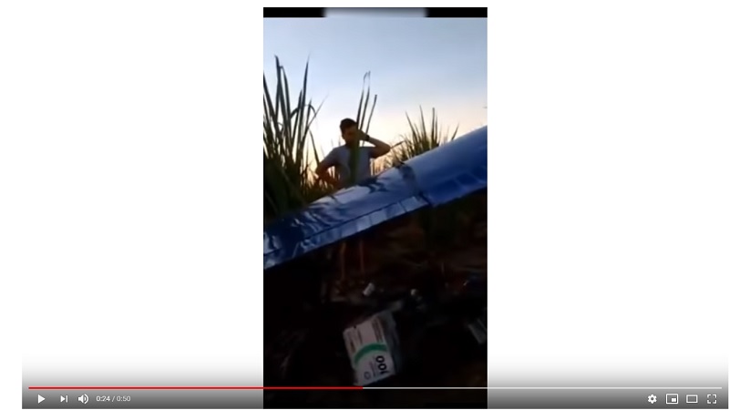 aviao de circo cai em canavial na paraiba veja o video