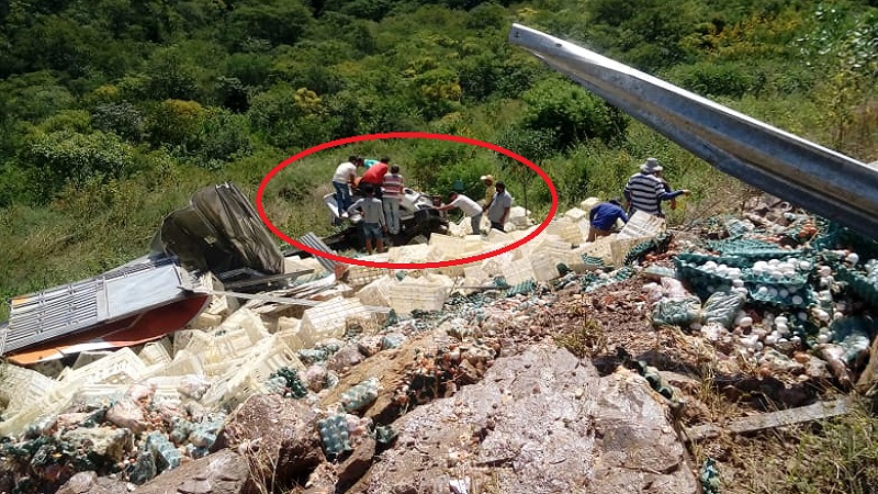 no sertao caminhao que transportava ovos capota e deixa motorista preso as ferragens