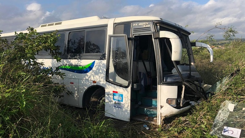 onibus cai em ribanceira na br 230 depois de bater em cavalo veja