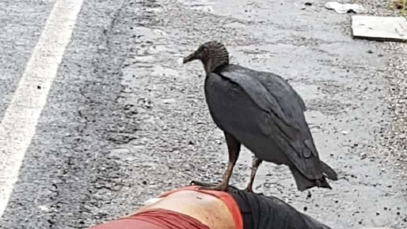 na paraiba homem e encontrado morto com marcas de tiros na cabeca rosto e torax