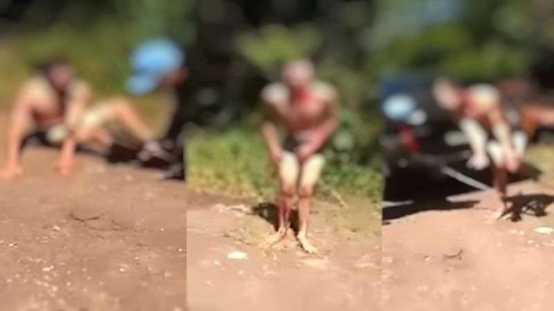 video ladrao e castigado com pauladas por roubar uma senhora veja