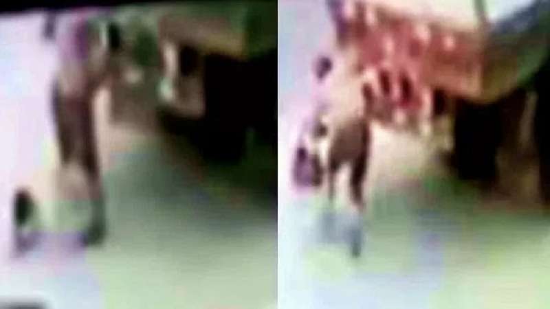 video menina de dois anos e esmagada por caminhao na frente da mae imagens fortes