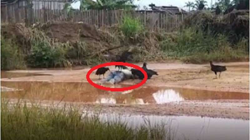 video mostra corpo de foragido que estuprou garota sendo devorado por urubus